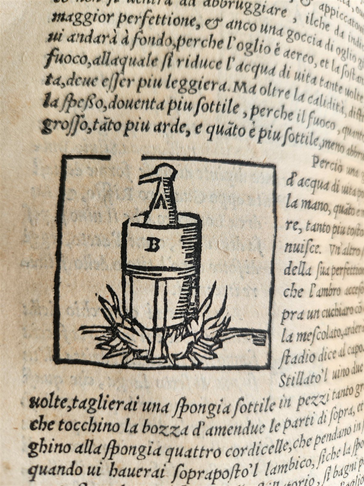 1556 SECRET REMEDIES CONRAD GESNER antique pharmaceutical alchemical ILLUSTRATED