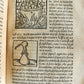 1556 SECRET REMEDIES CONRAD GESNER antique pharmaceutical alchemical ILLUSTRATED