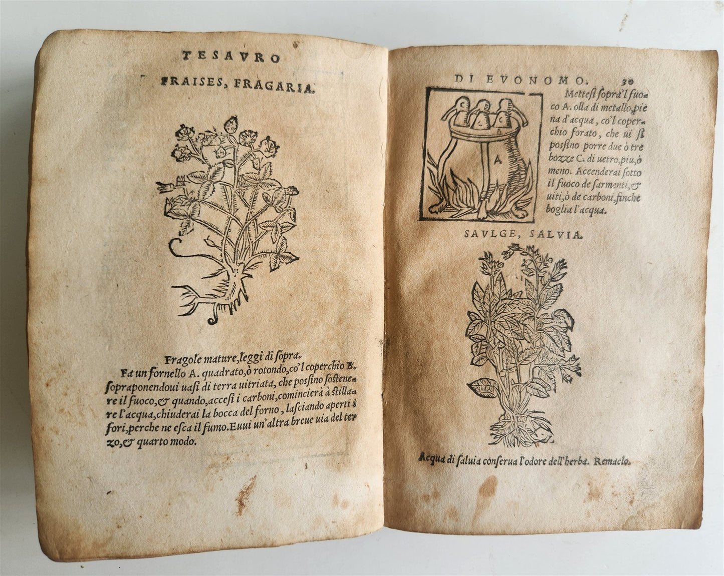 1556 SECRET REMEDIES CONRAD GESNER antique pharmaceutical alchemical ILLUSTRATED