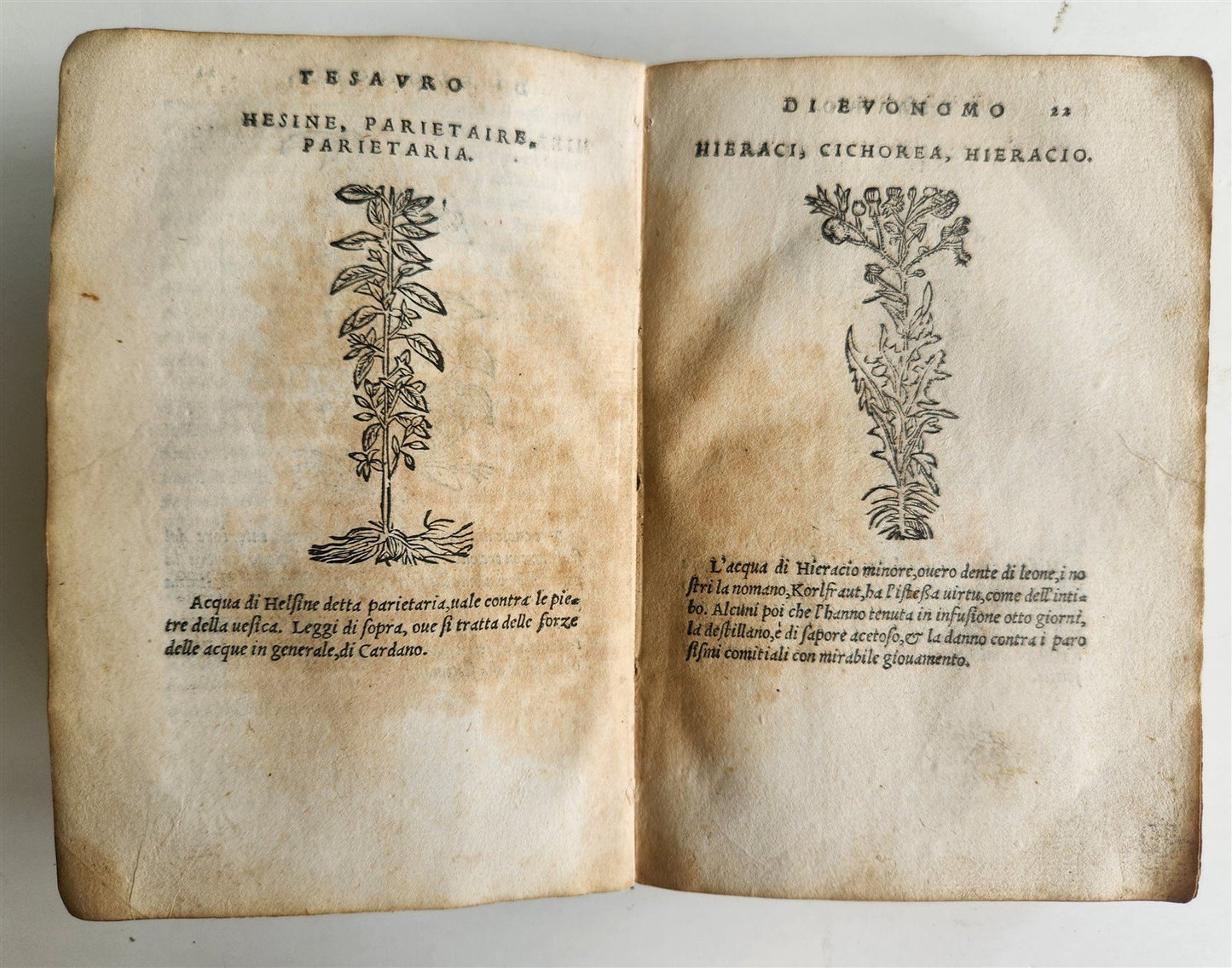 1556 SECRET REMEDIES CONRAD GESNER antique pharmaceutical alchemical ILLUSTRATED