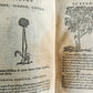 1556 SECRET REMEDIES CONRAD GESNER antique pharmaceutical alchemical ILLUSTRATED