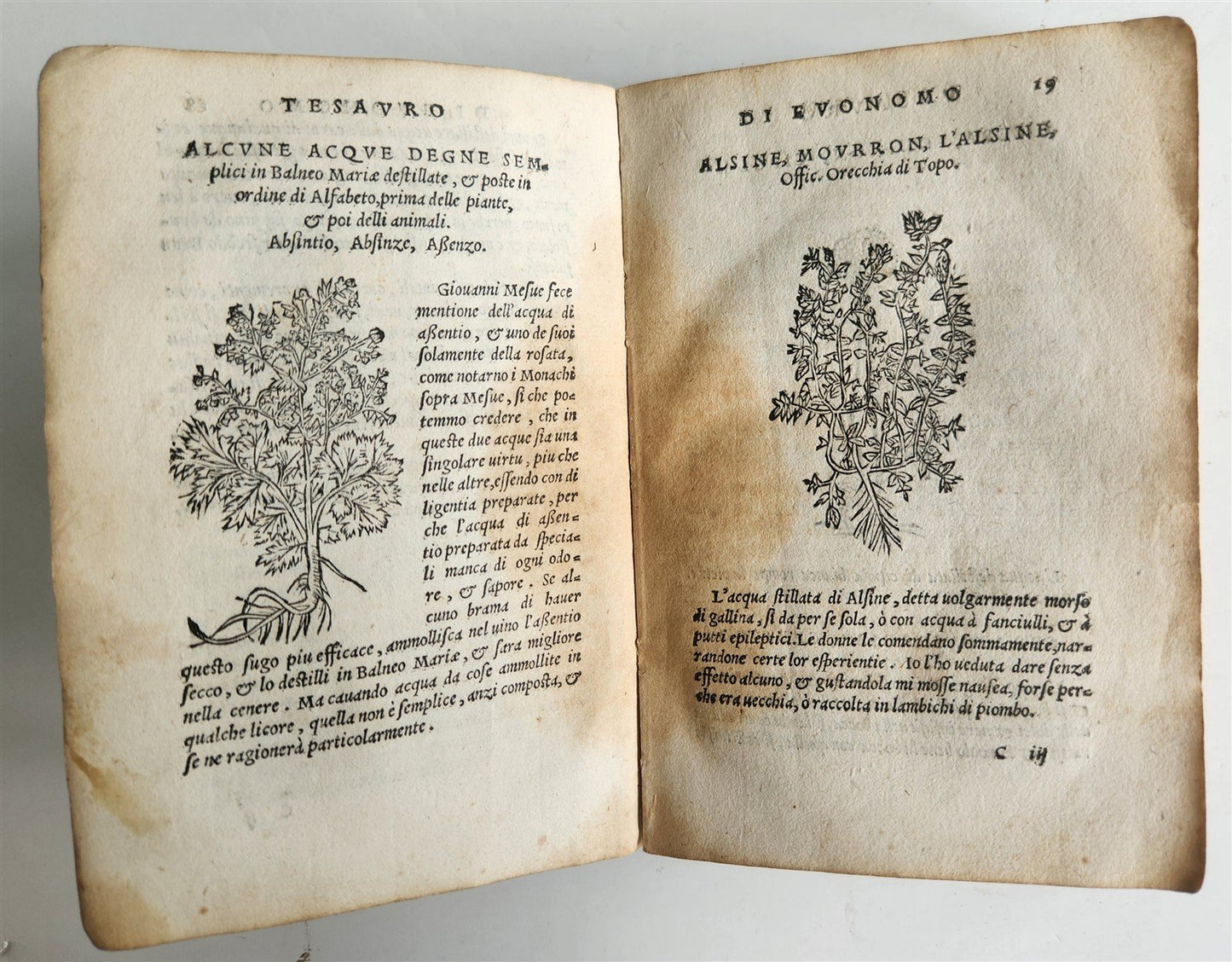 1556 SECRET REMEDIES CONRAD GESNER antique pharmaceutical alchemical ILLUSTRATED