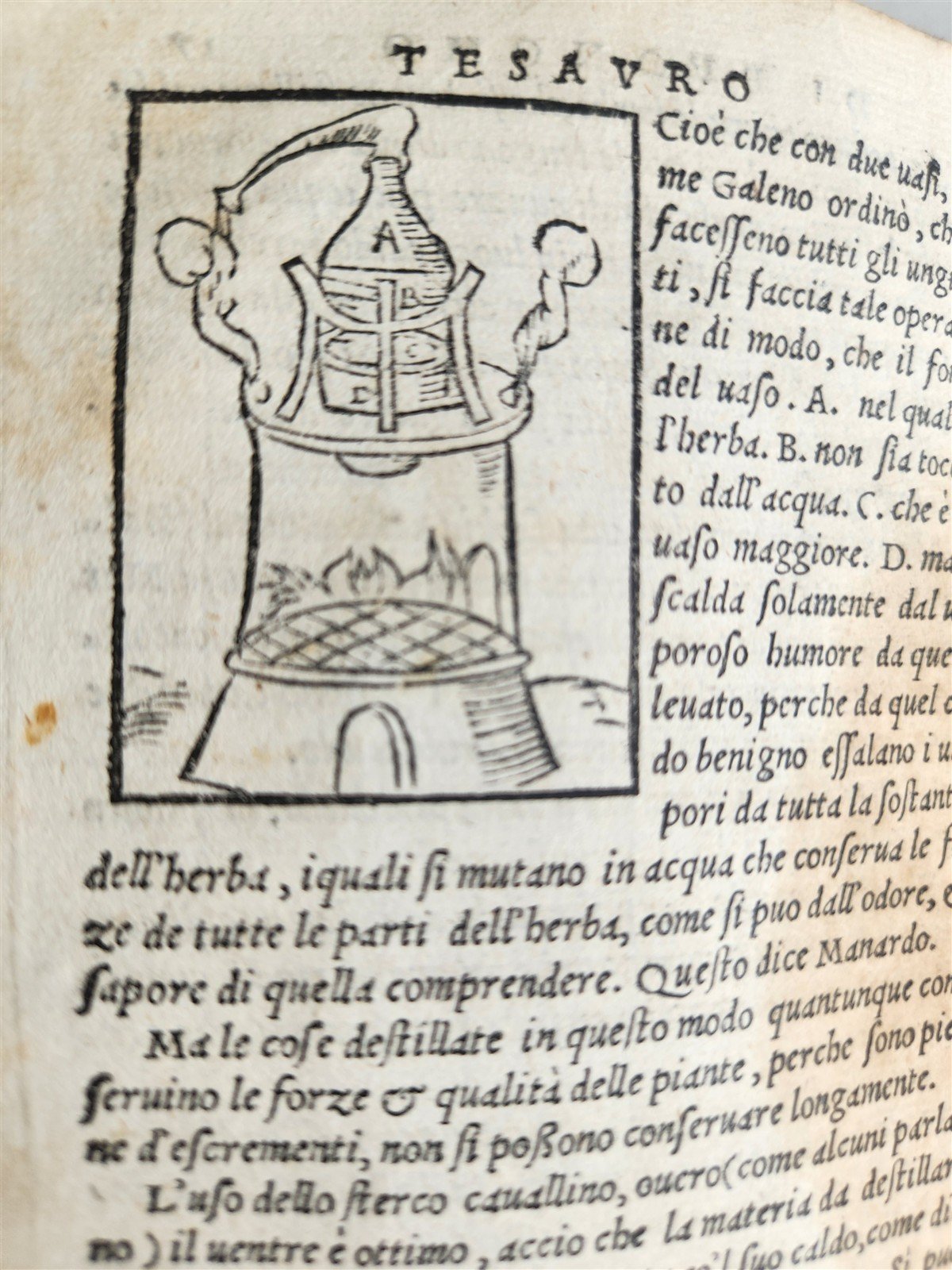 1556 SECRET REMEDIES CONRAD GESNER antique pharmaceutical alchemical ILLUSTRATED