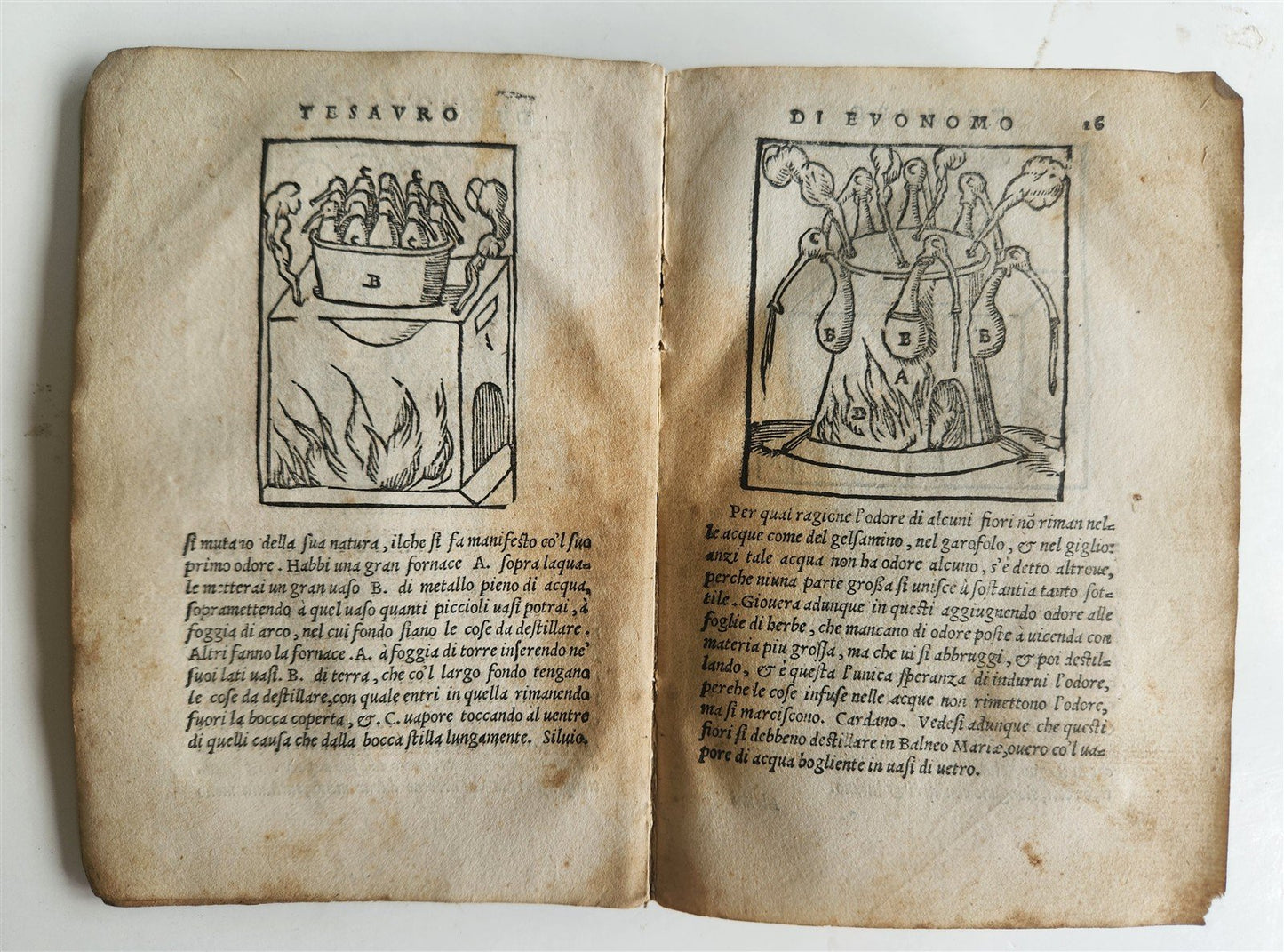 1556 SECRET REMEDIES CONRAD GESNER antique pharmaceutical alchemical ILLUSTRATED