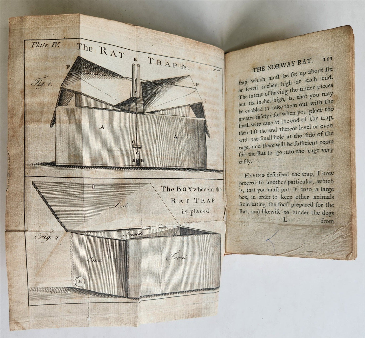 1772 UNIVERSAL DIRECTORY for TAKING ALIVE & DESTROYING RATS antique ILLUSTRATED