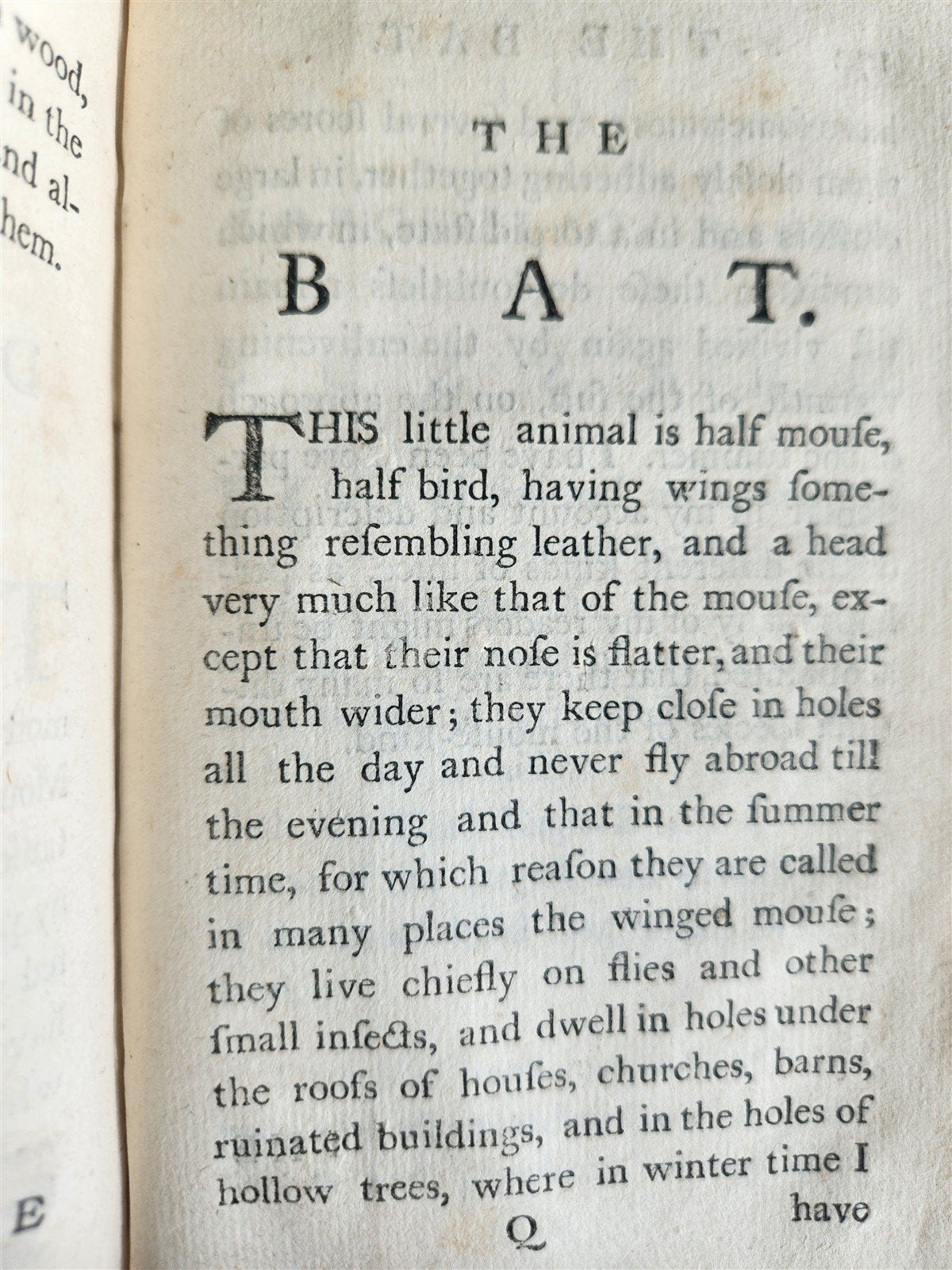 1772 UNIVERSAL DIRECTORY for TAKING ALIVE & DESTROYING RATS antique ILLUSTRATED