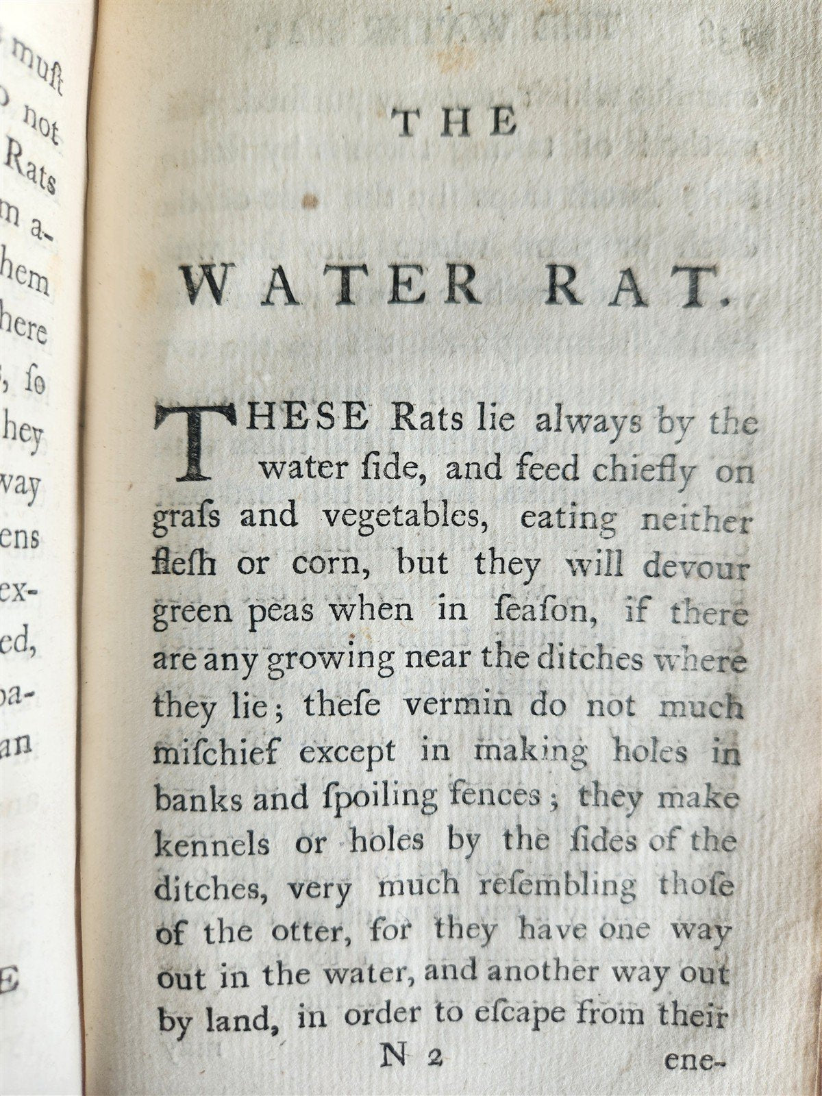 1772 UNIVERSAL DIRECTORY for TAKING ALIVE & DESTROYING RATS antique ILLUSTRATED
