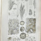 1853 NORMAL & PATHOLOGICAL ANATOMICAL & PHYSIOLOGICAL CHEMISTRY antique ILLUSTR.