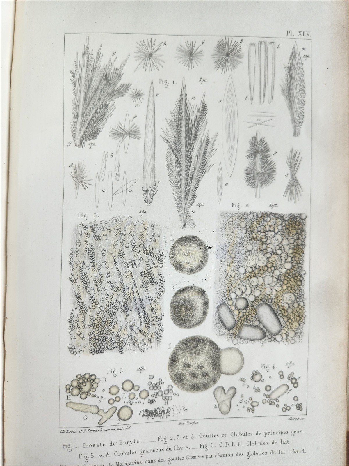 1853 NORMAL & PATHOLOGICAL ANATOMICAL & PHYSIOLOGICAL CHEMISTRY antique ILLUSTR.