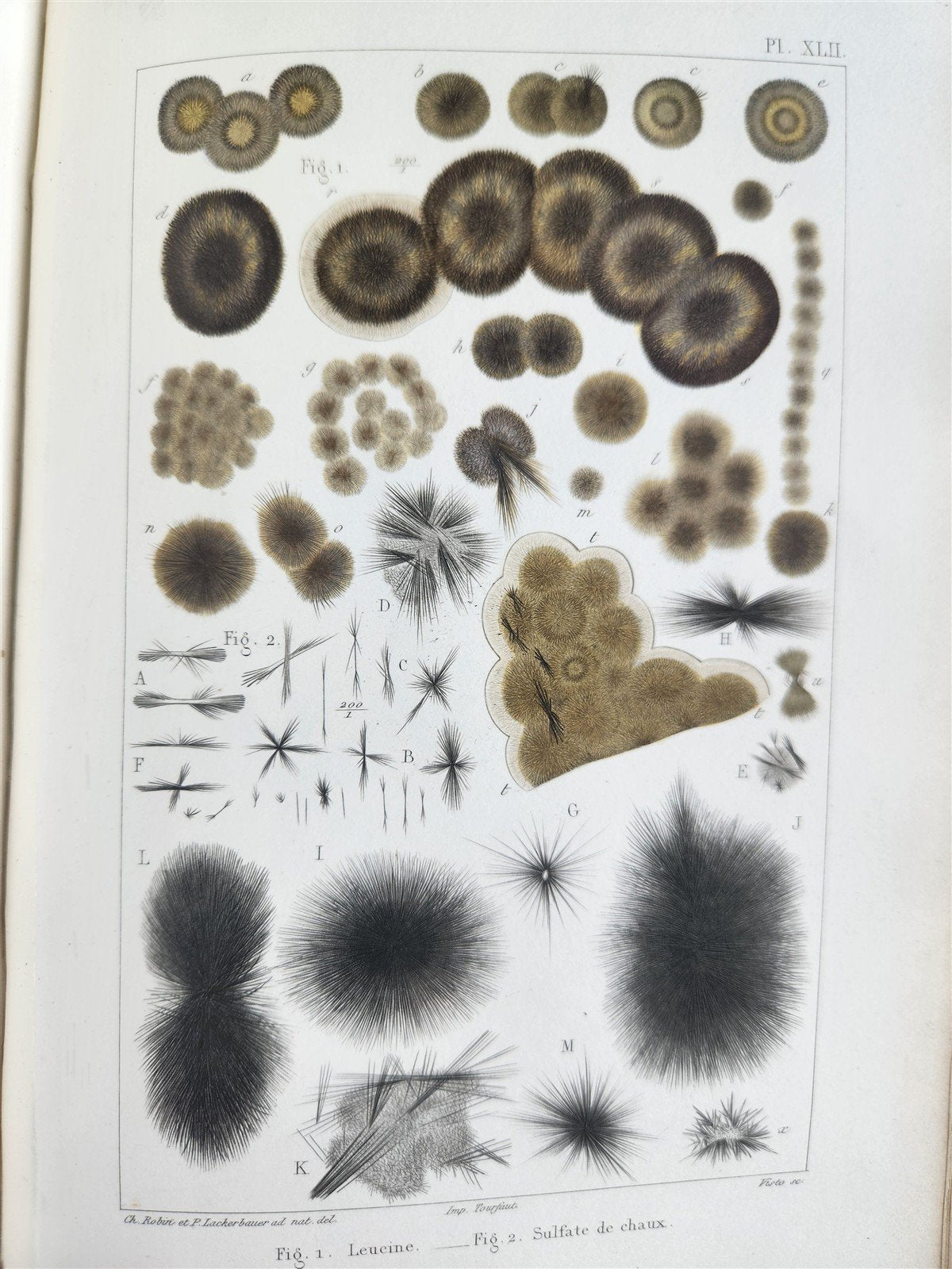 1853 NORMAL & PATHOLOGICAL ANATOMICAL & PHYSIOLOGICAL CHEMISTRY antique ILLUSTR.
