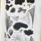 1853 NORMAL & PATHOLOGICAL ANATOMICAL & PHYSIOLOGICAL CHEMISTRY antique ILLUSTR.