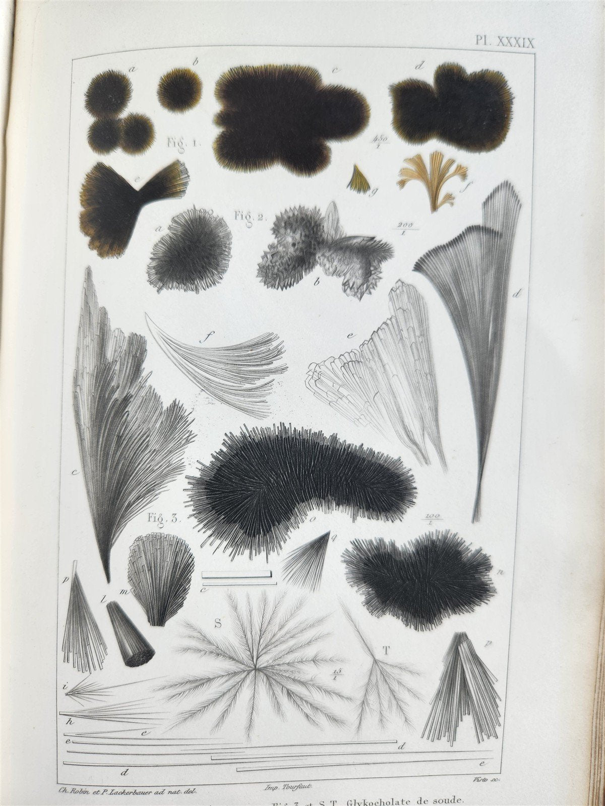 1853 NORMAL & PATHOLOGICAL ANATOMICAL & PHYSIOLOGICAL CHEMISTRY antique ILLUSTR.