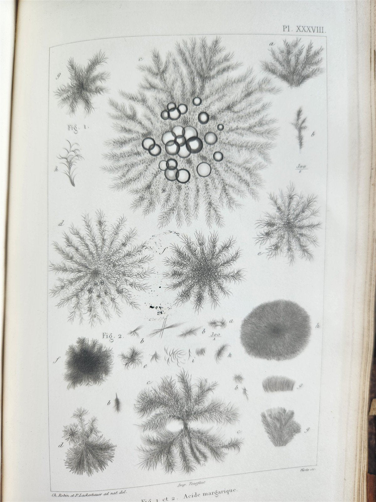 1853 NORMAL & PATHOLOGICAL ANATOMICAL & PHYSIOLOGICAL CHEMISTRY antique ILLUSTR.