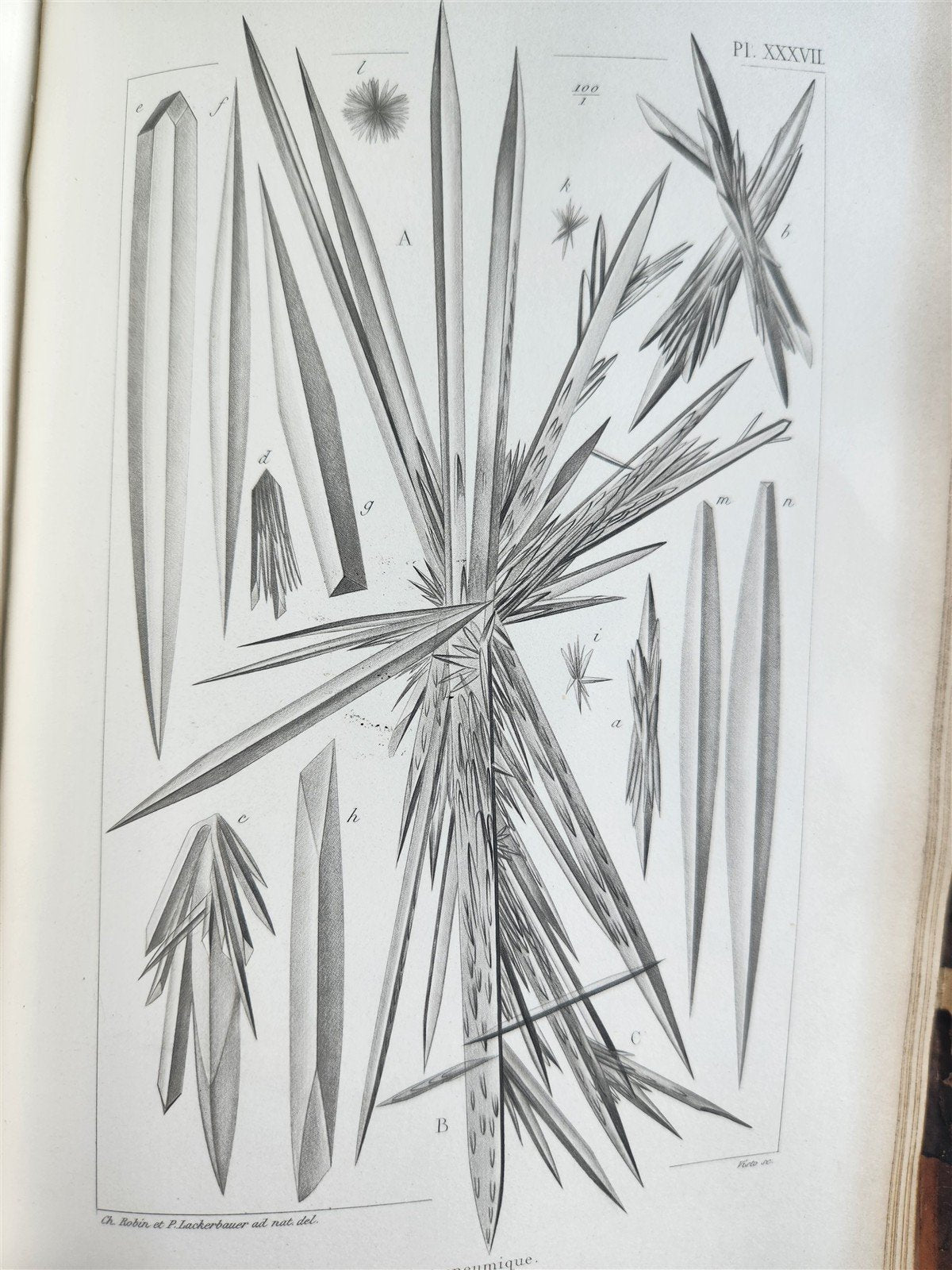 1853 NORMAL & PATHOLOGICAL ANATOMICAL & PHYSIOLOGICAL CHEMISTRY antique ILLUSTR.
