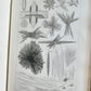 1853 NORMAL & PATHOLOGICAL ANATOMICAL & PHYSIOLOGICAL CHEMISTRY antique ILLUSTR.