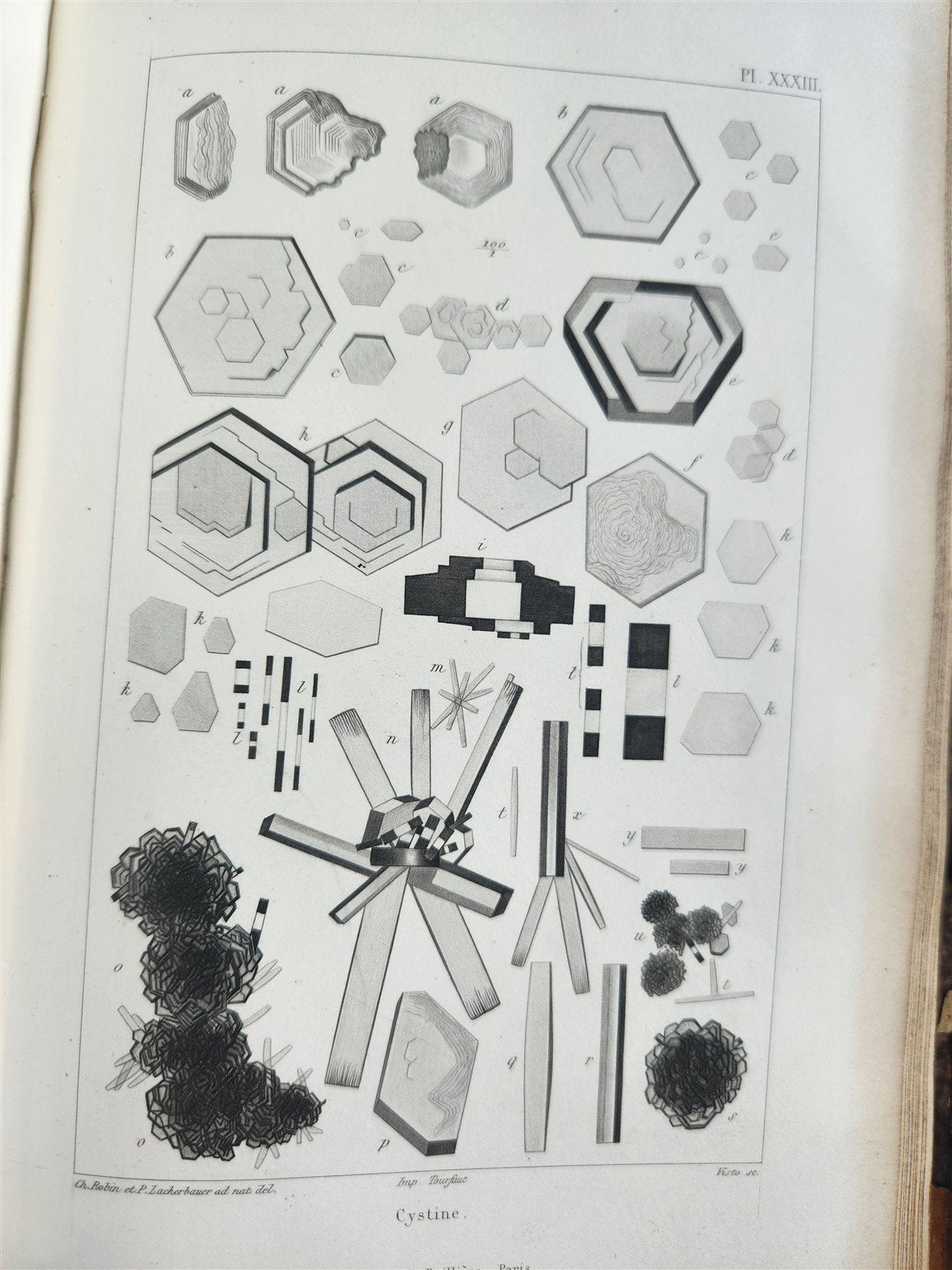 1853 NORMAL & PATHOLOGICAL ANATOMICAL & PHYSIOLOGICAL CHEMISTRY antique ILLUSTR.