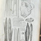 1853 NORMAL & PATHOLOGICAL ANATOMICAL & PHYSIOLOGICAL CHEMISTRY antique ILLUSTR.