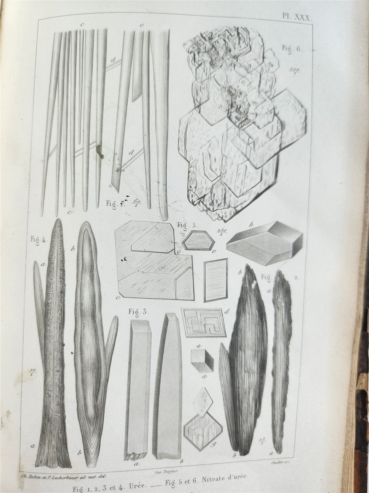 1853 NORMAL & PATHOLOGICAL ANATOMICAL & PHYSIOLOGICAL CHEMISTRY antique ILLUSTR.
