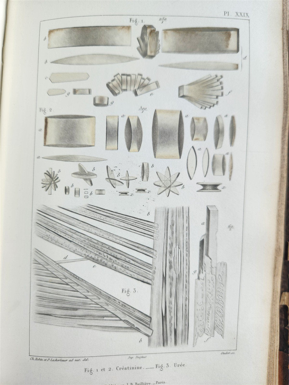 1853 NORMAL & PATHOLOGICAL ANATOMICAL & PHYSIOLOGICAL CHEMISTRY antique ILLUSTR.