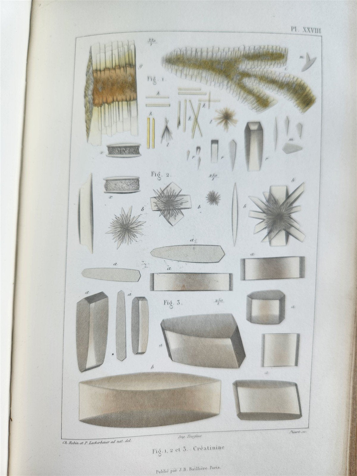 1853 NORMAL & PATHOLOGICAL ANATOMICAL & PHYSIOLOGICAL CHEMISTRY antique ILLUSTR.