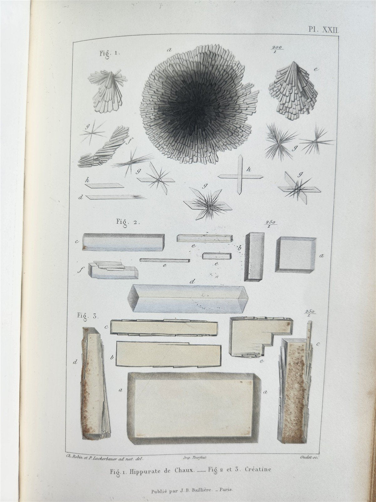 1853 NORMAL & PATHOLOGICAL ANATOMICAL & PHYSIOLOGICAL CHEMISTRY antique ILLUSTR.