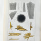 1853 NORMAL & PATHOLOGICAL ANATOMICAL & PHYSIOLOGICAL CHEMISTRY antique ILLUSTR.