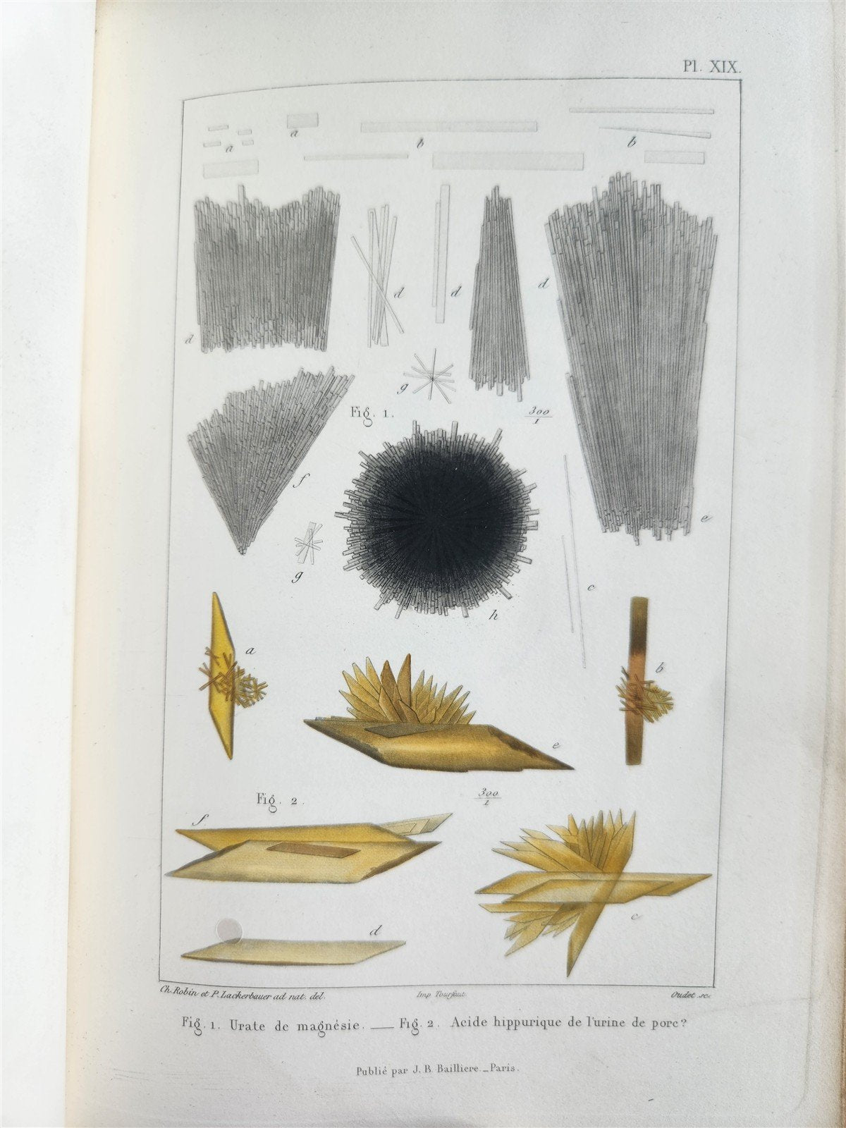 1853 NORMAL & PATHOLOGICAL ANATOMICAL & PHYSIOLOGICAL CHEMISTRY antique ILLUSTR.