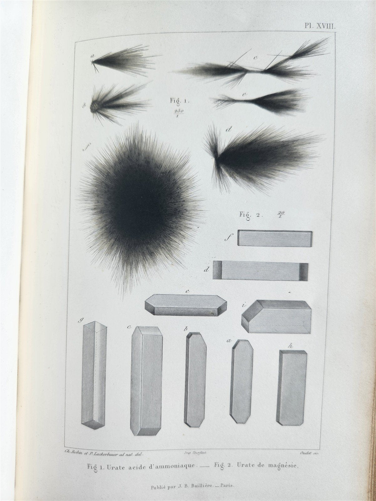 1853 NORMAL & PATHOLOGICAL ANATOMICAL & PHYSIOLOGICAL CHEMISTRY antique ILLUSTR.
