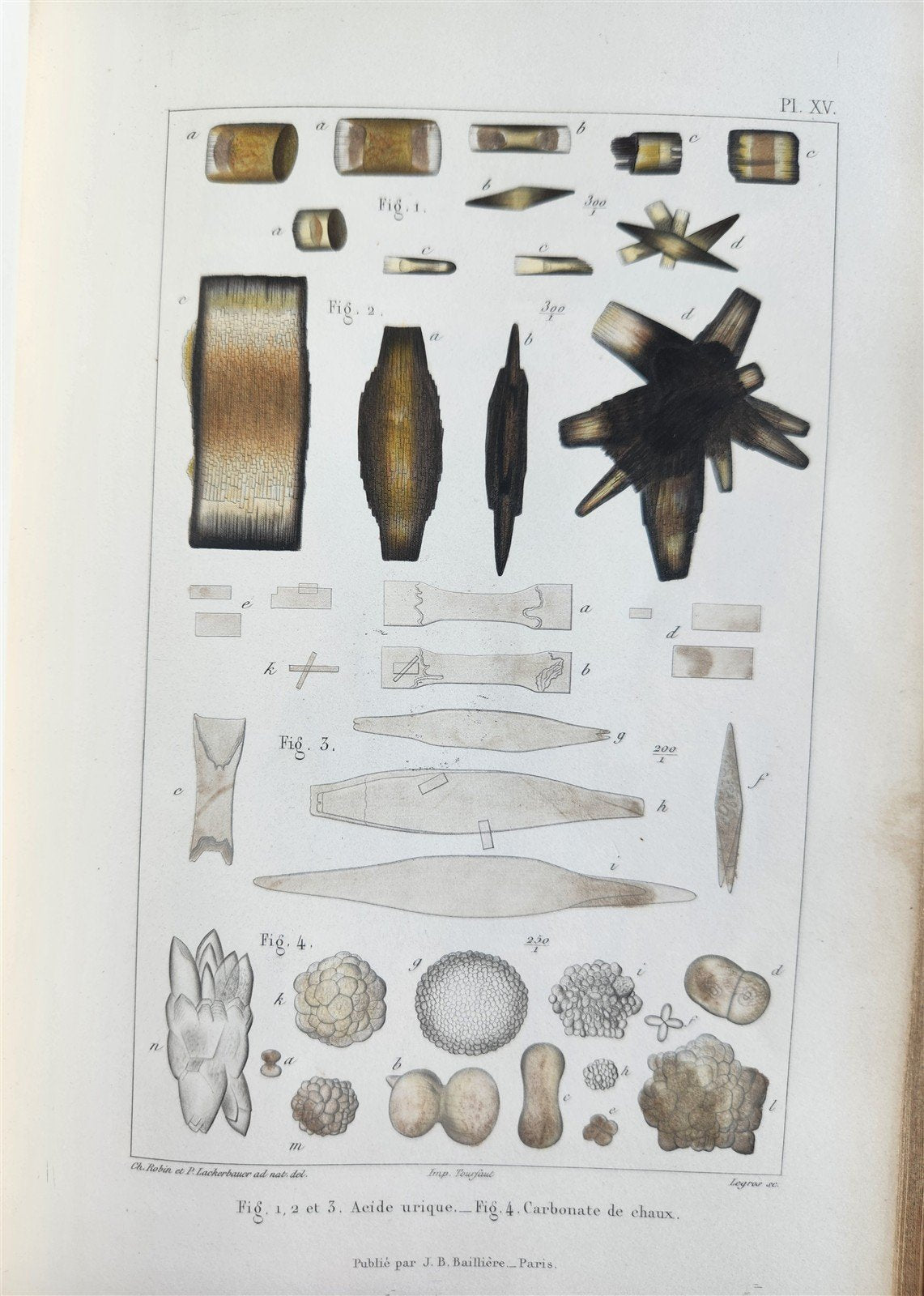 1853 NORMAL & PATHOLOGICAL ANATOMICAL & PHYSIOLOGICAL CHEMISTRY antique ILLUSTR.
