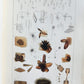 1853 NORMAL & PATHOLOGICAL ANATOMICAL & PHYSIOLOGICAL CHEMISTRY antique ILLUSTR.