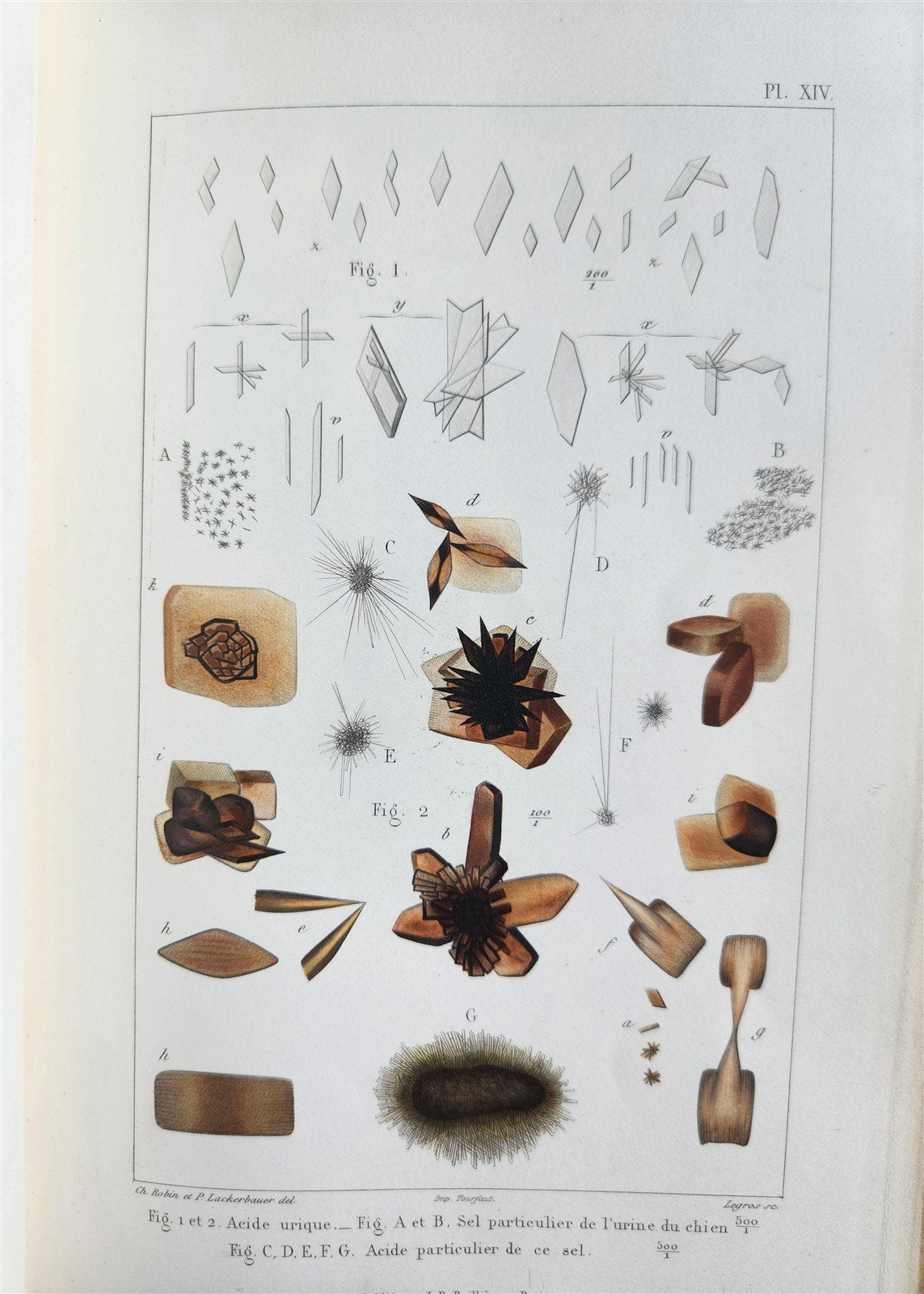 1853 NORMAL & PATHOLOGICAL ANATOMICAL & PHYSIOLOGICAL CHEMISTRY antique ILLUSTR.