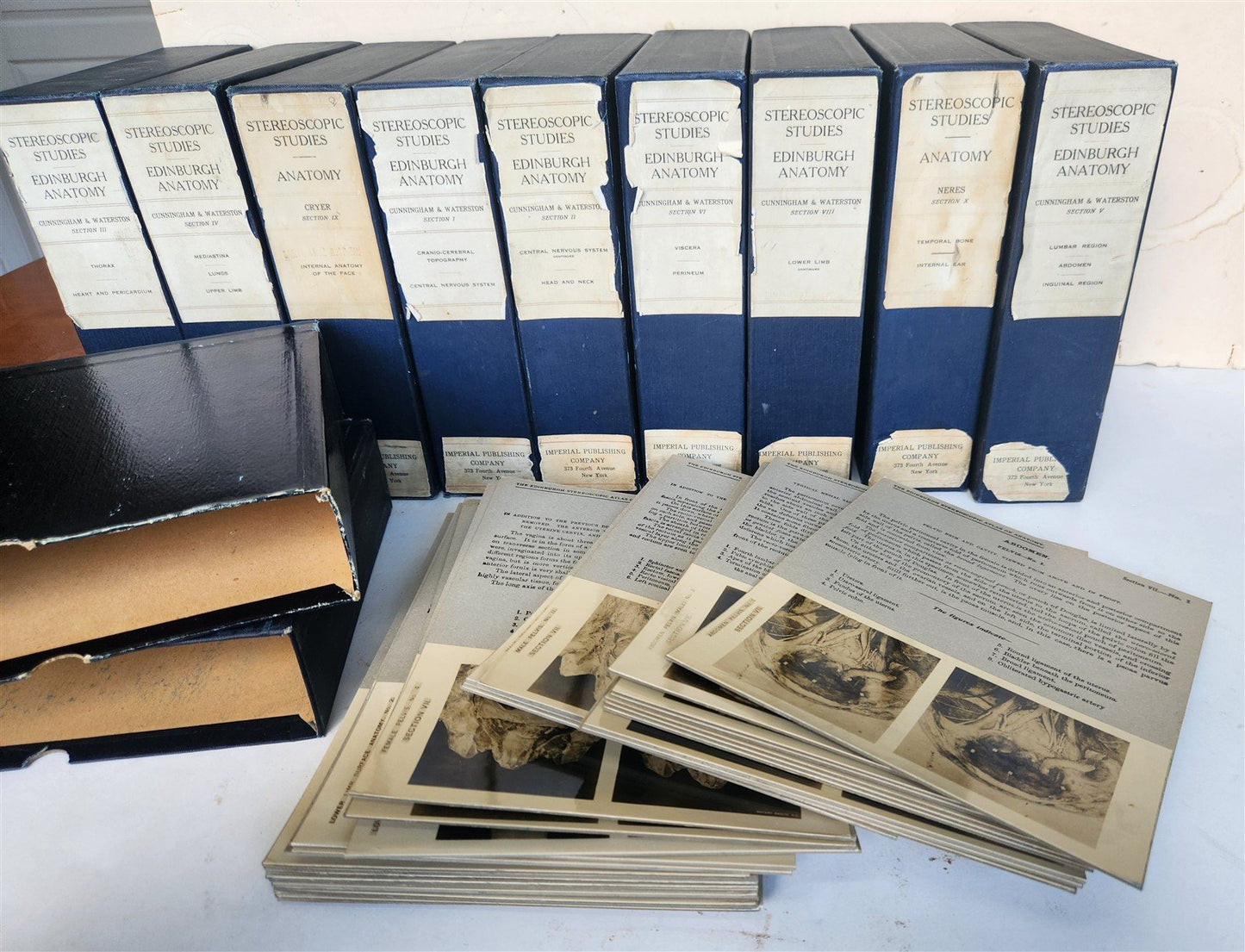 1910 ANATOMY STEREOSCOPIC STUDIES 10 VOLUMES antique by Cunningham & Waterston