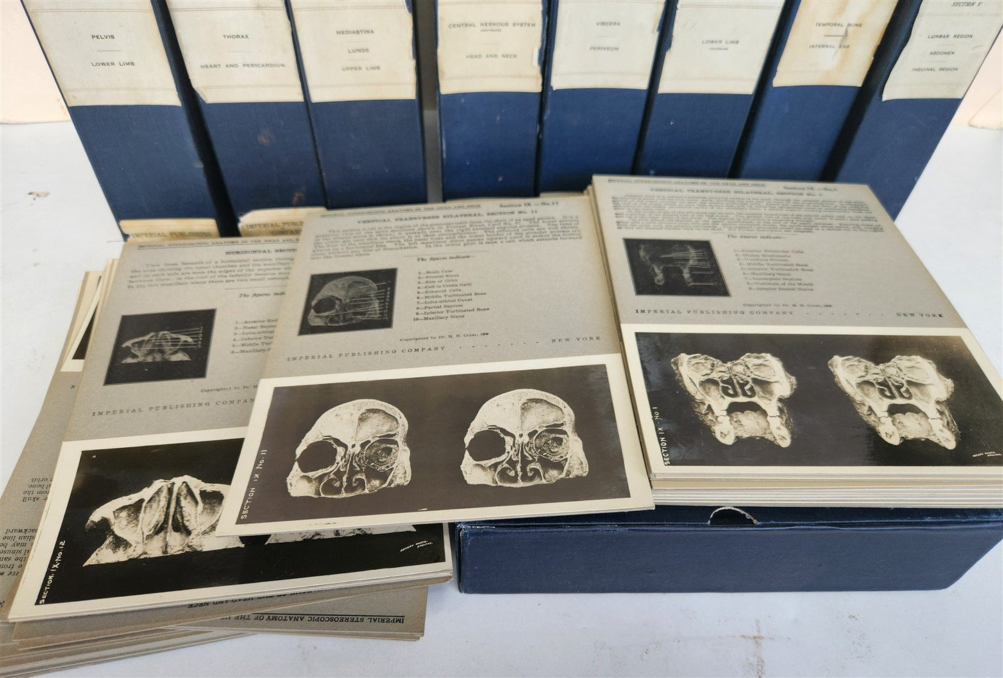 1910 ANATOMY STEREOSCOPIC STUDIES 10 VOLUMES antique by Cunningham & Waterston