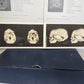 1910 ANATOMY STEREOSCOPIC STUDIES 10 VOLUMES antique by Cunningham & Waterston