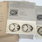 1910 ANATOMY STEREOSCOPIC STUDIES 10 VOLUMES antique by Cunningham & Waterston