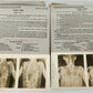 1910 ANATOMY STEREOSCOPIC STUDIES 10 VOLUMES antique by Cunningham & Waterston