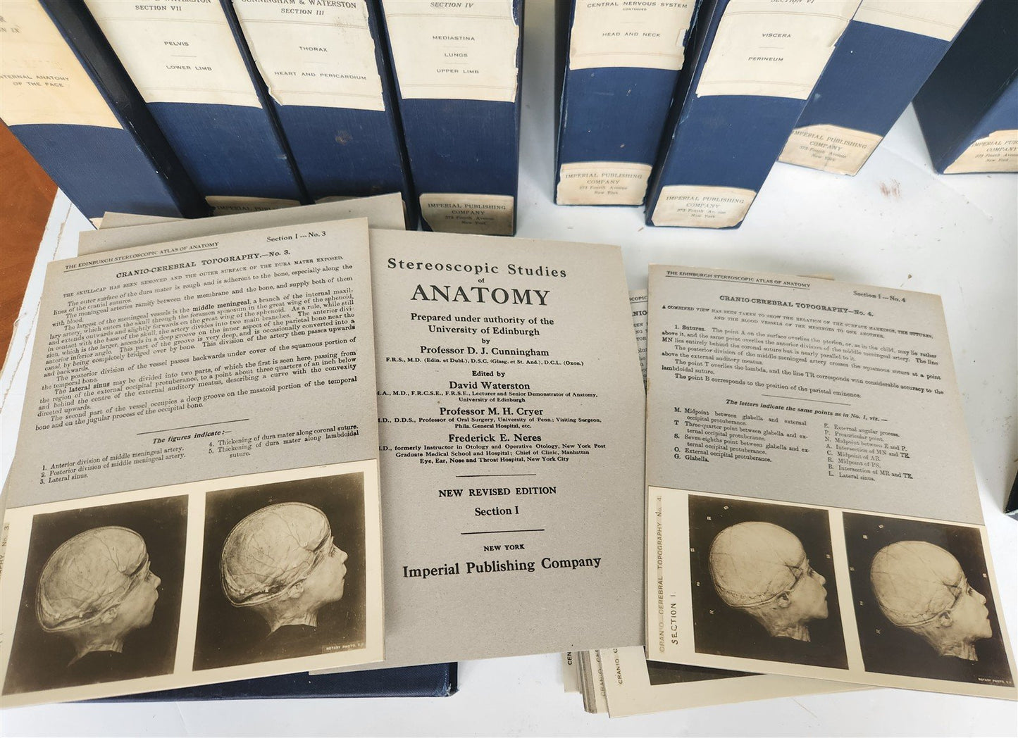 1910 ANATOMY STEREOSCOPIC STUDIES 10 VOLUMES antique by Cunningham & Waterston