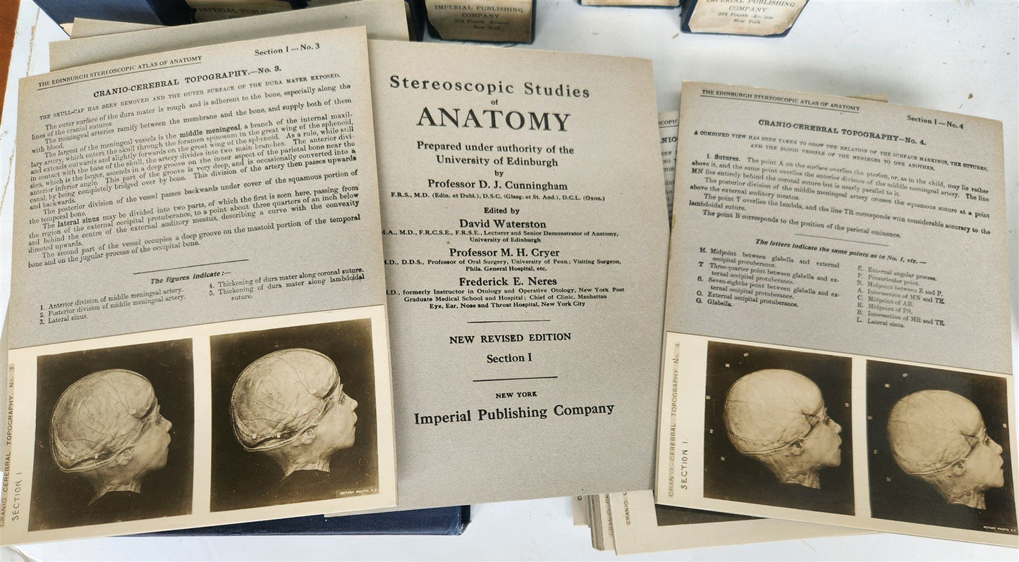 1910 ANATOMY STEREOSCOPIC STUDIES 10 VOLUMES antique by Cunningham & Waterston