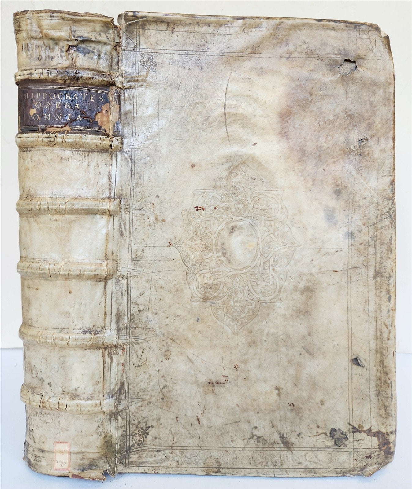 1624 HIPPOCRATES OPERA OMNIA antique VELLUM BOUND MASSIVE FOLIO in LATIN & GREEK