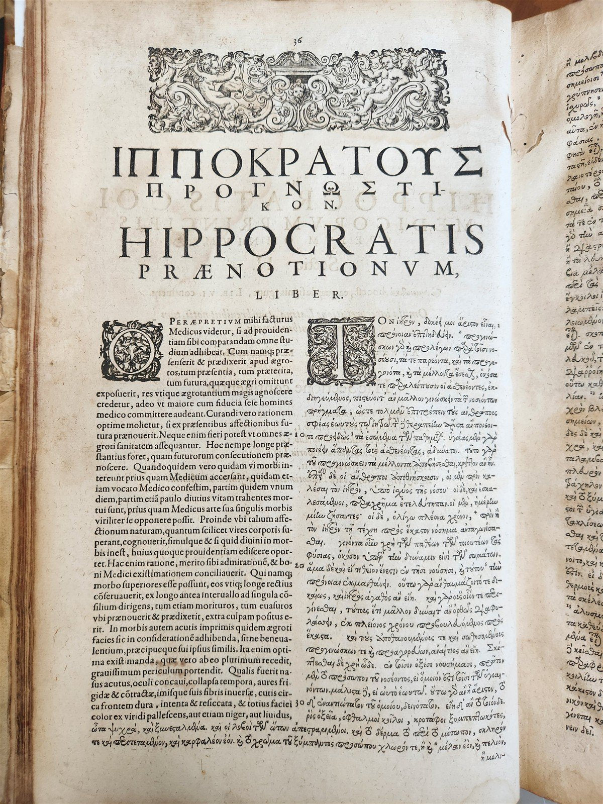1624 HIPPOCRATES OPERA OMNIA antique VELLUM BOUND MASSIVE FOLIO in LATIN & GREEK