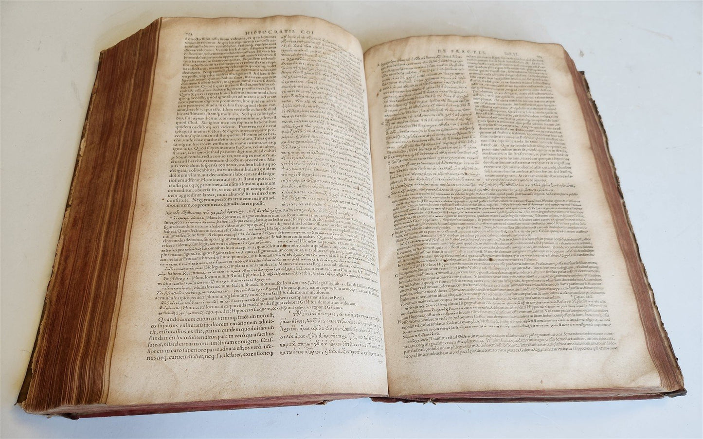 1624 HIPPOCRATES OPERA OMNIA antique VELLUM BOUND MASSIVE FOLIO in LATIN & GREEK
