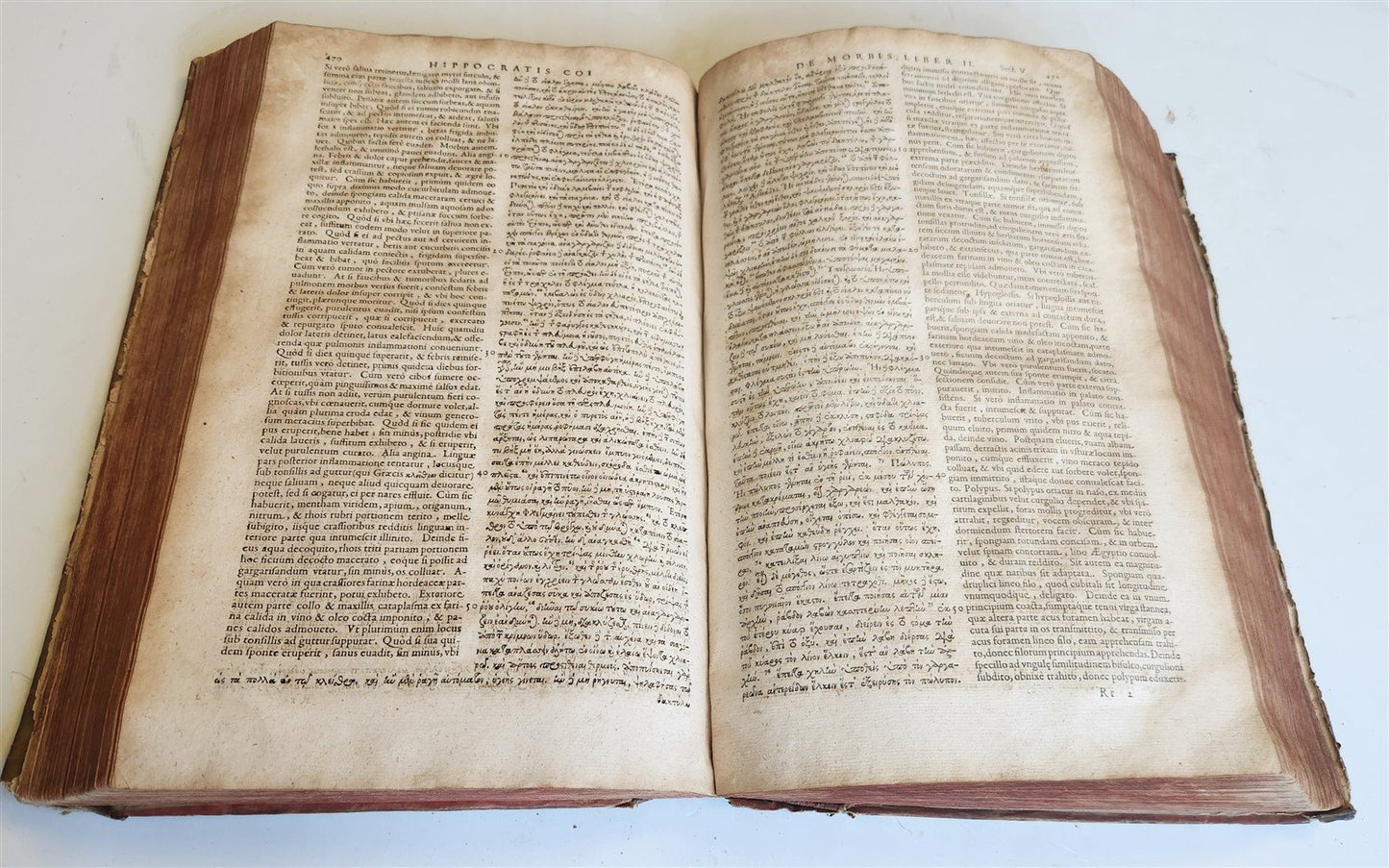 1624 HIPPOCRATES OPERA OMNIA antique VELLUM BOUND MASSIVE FOLIO in LATIN & GREEK