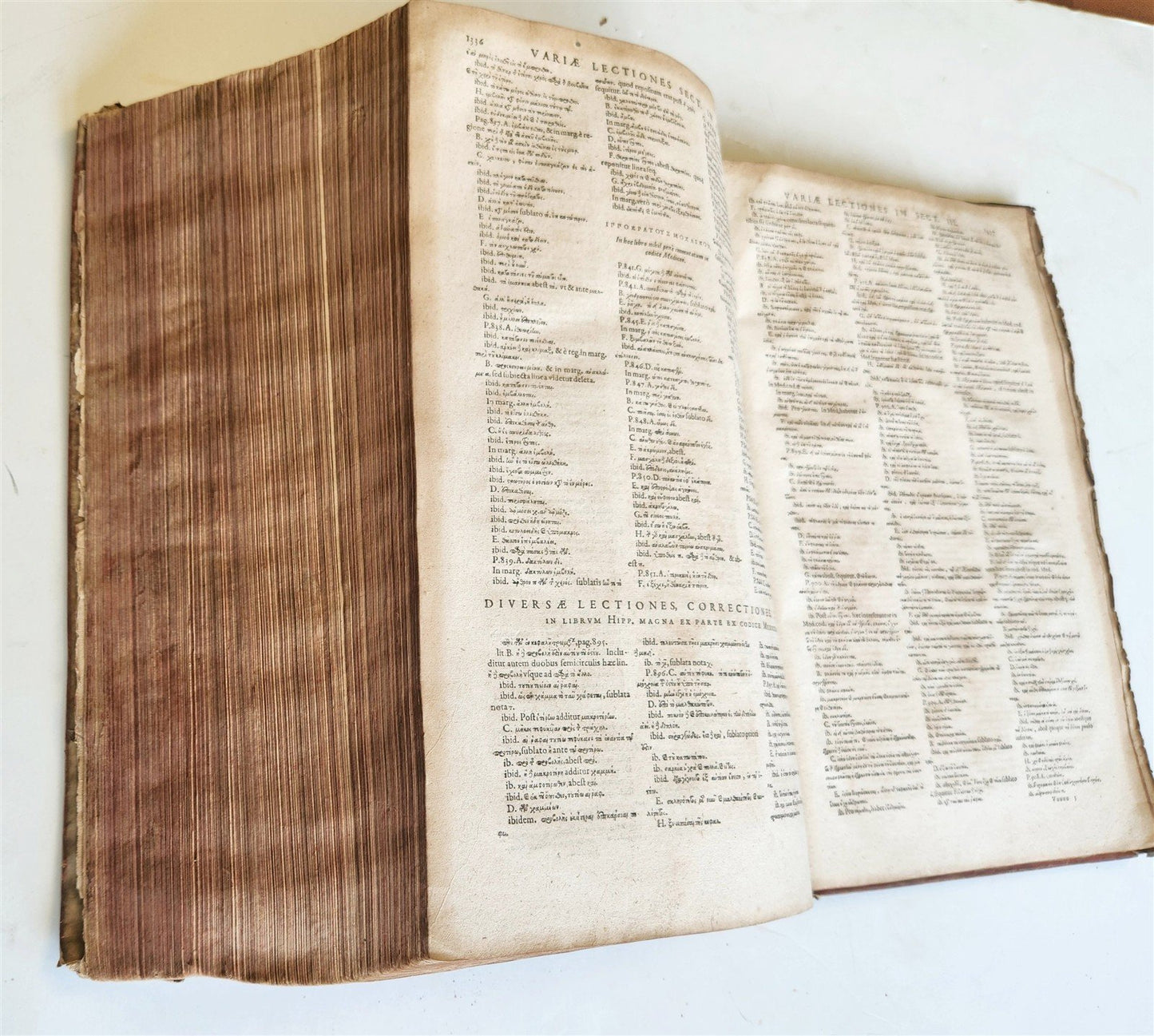 1624 HIPPOCRATES OPERA OMNIA antique VELLUM BOUND MASSIVE FOLIO in LATIN & GREEK