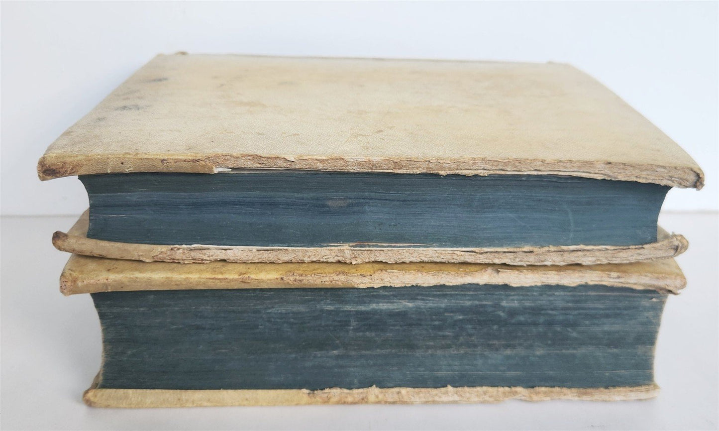 1564-1590 DEL' HISTORIA D'ITALIA by Francesco Guicciardini antique 2 vellum VOLS