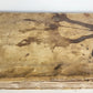 1529 POST-INCUNABULA Aeneis virgiliana w/ AMAZING 110 ENGRAVINGS antique VELLUM