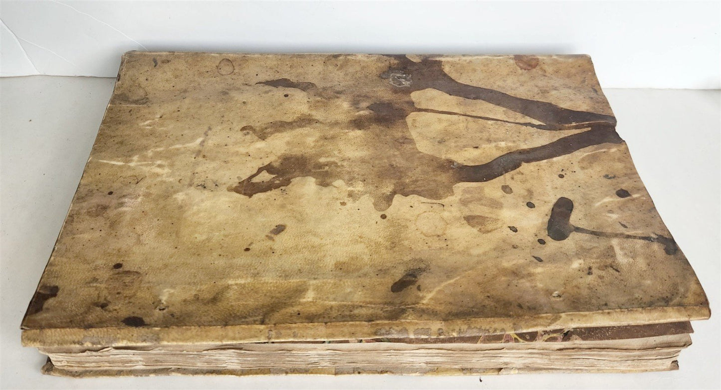 1529 POST-INCUNABULA Aeneis virgiliana w/ AMAZING 110 ENGRAVINGS antique VELLUM