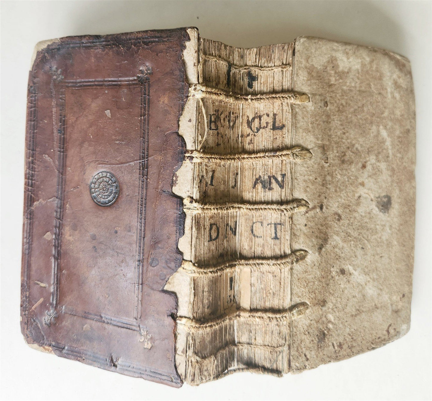 1554 BIBLE COMMENTARIES by Denis the Carthusian antique