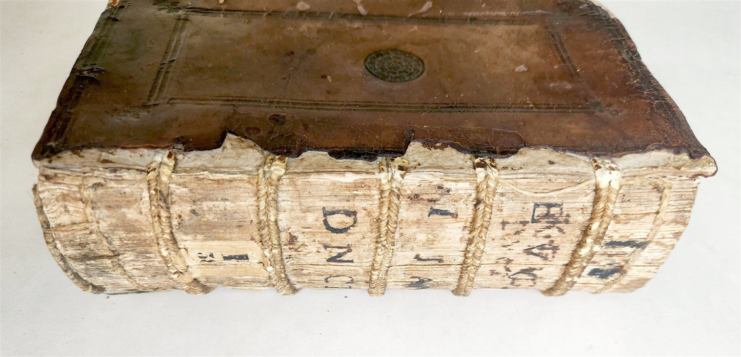 1554 BIBLE COMMENTARIES by Denis the Carthusian antique