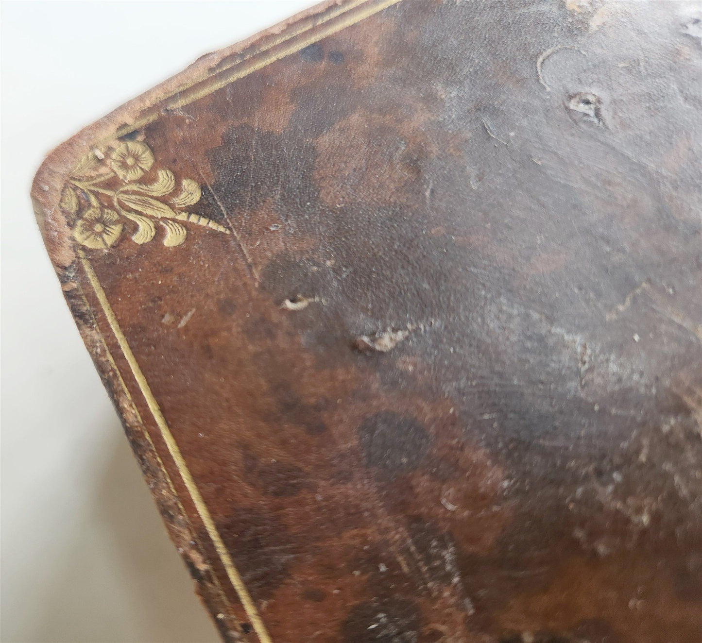 1566 BIBLE in LATIN ILLUSTRATED w/ FOLDING MAPS antique BIBLIA SACRA