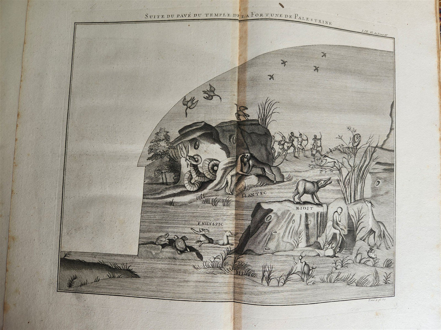 1719-24 MONTFAUCON ILLUSTRATED MONUMENTAL WORK on CLASSICAL ARCHEOLOGY 15 VOLS